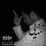 دانلود آهنگ هامون هاشمی به نام تنهایی
